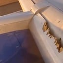 El avión tuvo que aterrizar de emergencia en Denver