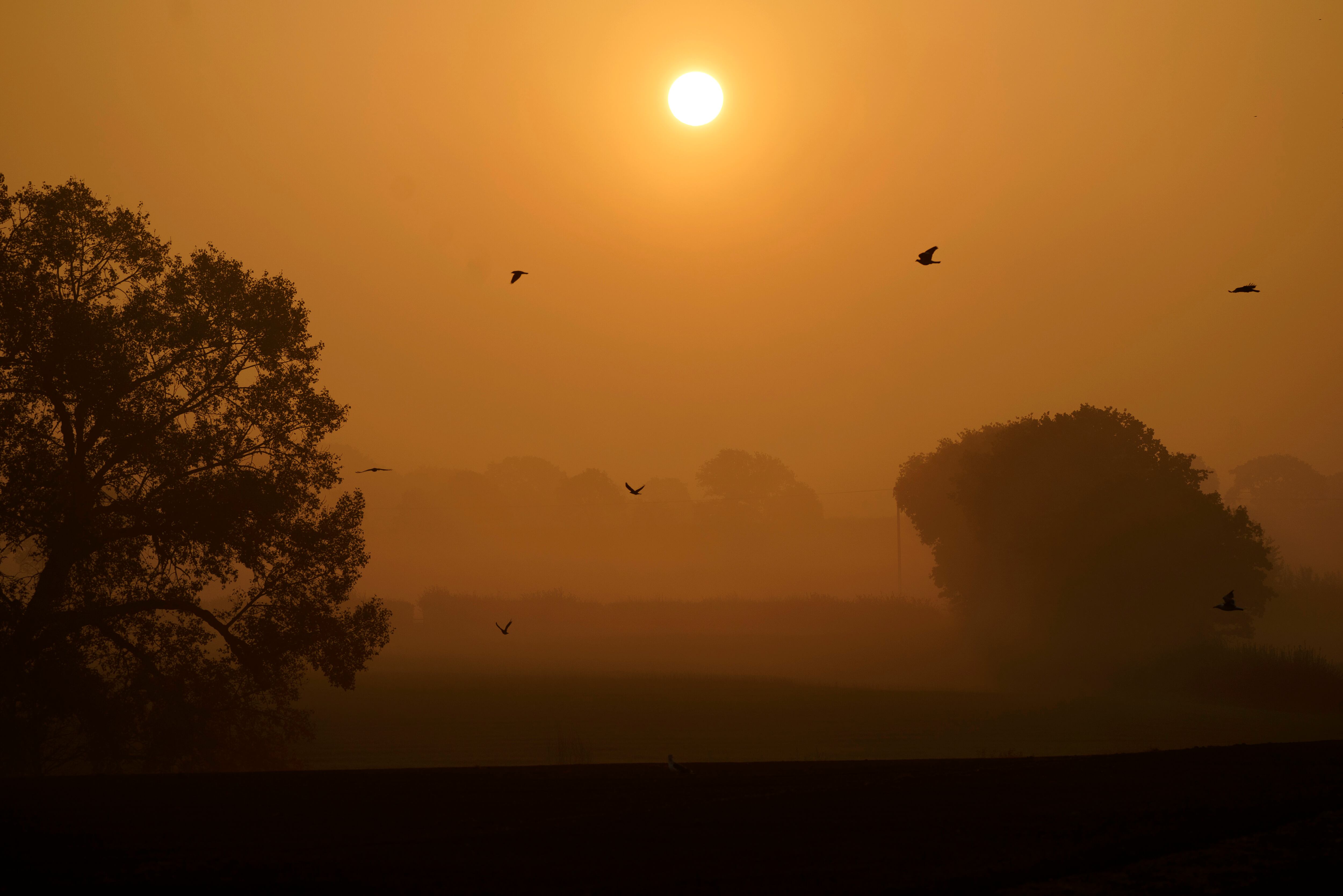 Equinoccio de Otoño 2020: qué es y por qué hoy empieza una nueva estación