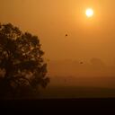 Equinoccio de Otoño 2020: qué es y por qué hoy empieza una nueva estación