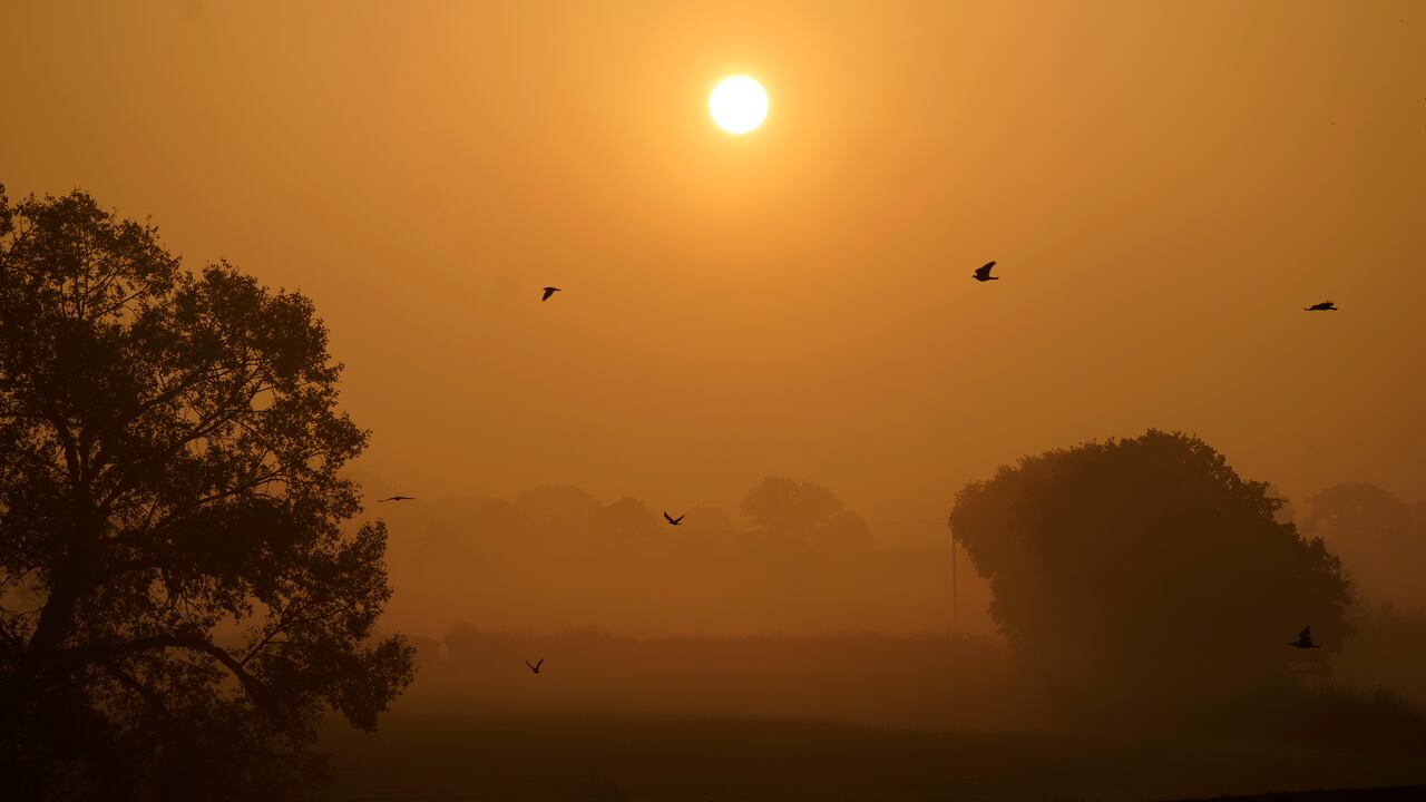 Equinoccio de Otoño 2020: qué es y por qué hoy empieza una nueva estación