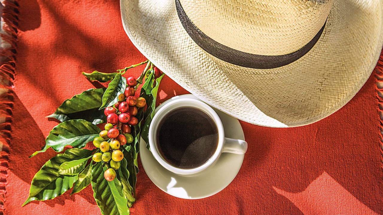 NO USAR, USO EXCLUSIVO MEJOR COLOMBIA, Especial Eje Cafetero, Columna Chef