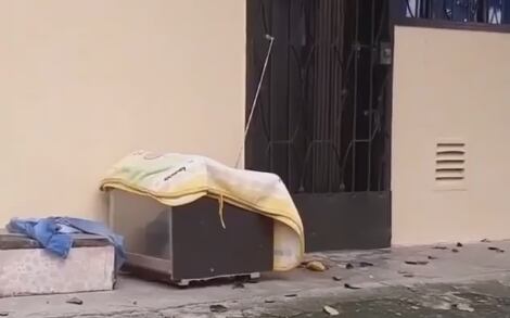 Caso de presunto maltrato animal en Medellín.