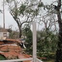 Providencia Iota - 14