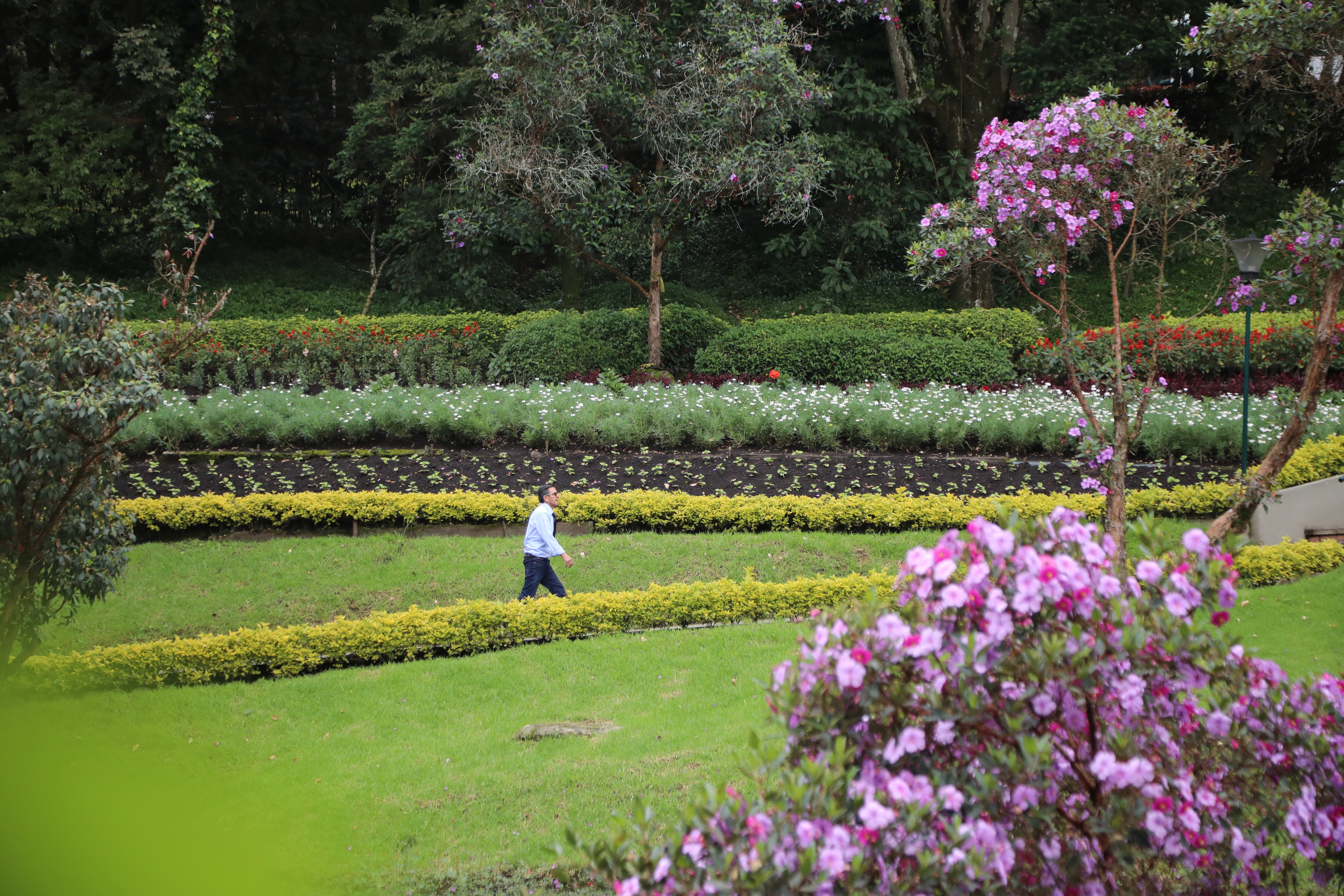 El Externado ha llenado de vida el centro de la ciudad y, al mismo tiempo, se ha convertido en un sendero peatonal que involucra a la comunidad local para el cuidado ambiental de la zona.