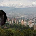 El dramático rescate de un hombre sepultado por un deslizamiento en Medellín.