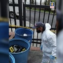 La Fiscalía en el lugar donde fueron hallados los animales muertos