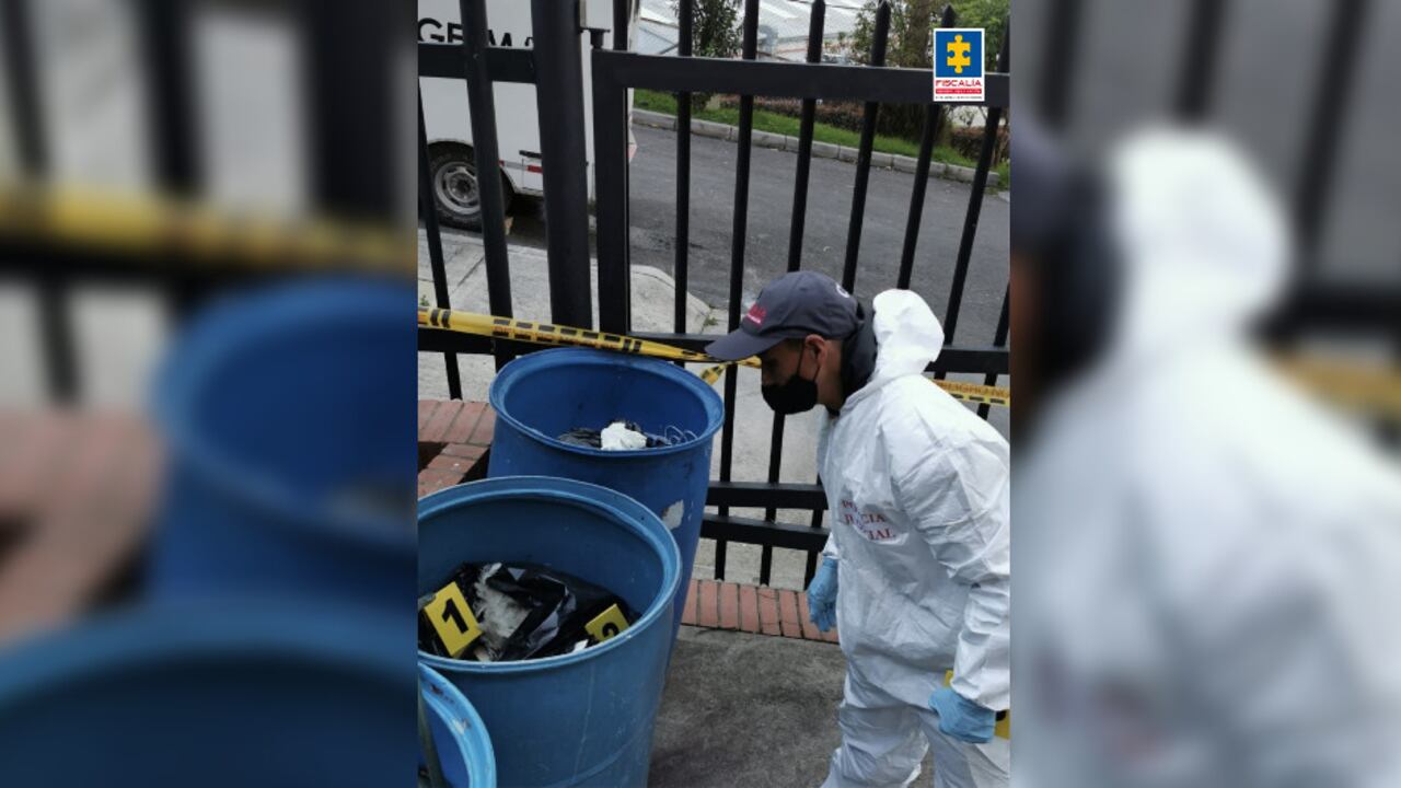 La Fiscalía en el lugar donde fueron hallados los animales muertos