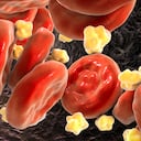 Los triglicéridos son importantes en el mantenimiento de la salud, siempre y cuando sus niveles estén saturados por debajo de los 150 mg/dL. Getty Images.