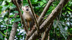 AMARILO - VIII Cumbre de Sostenibilidad - SEMANA Sostenible