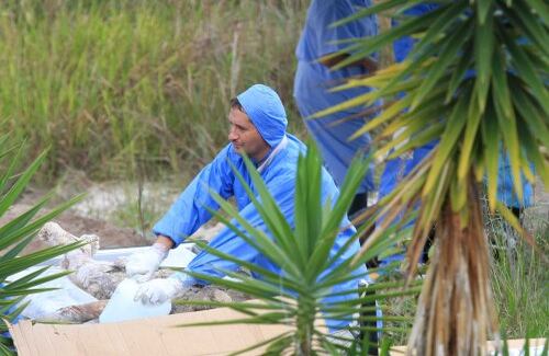Una comisión especial de la Fiscalía viajó desde Bogotá hacia la vereda Las Liscas, en el municipio de Ocaña (Norte de Santander) para realizar la exhumación de los cadáveres de once muchachos que aparecieron en esa región. El general Paulino Coronado, comandante de la Brigada 30 con sede en ese departamento, aseguró que los jóvenes fueron reclutados por las Águilas Negras y muertos en combate con el Ejército.(Foto: Édgar Cusgüen Olarte- Cortesía La Opinión