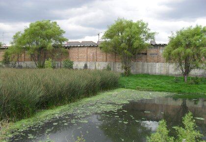 Agua contaminada por los desechos de la central de Abastos, en el humedal de La Vaca, antes de su paso por el biofiltro natural.