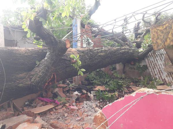 Árbol cayó sobre una vivienda dejando la familia damnificada