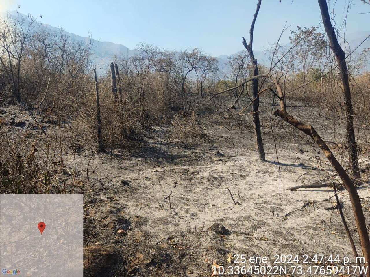 Así está el panorama en el Piedemonte de la Sierra Nevada de Santa Marta.