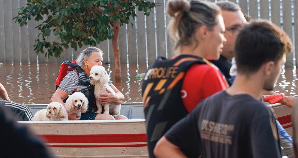 El rescate de animales se ha vuelto una constante en medio de las inundaciones. 