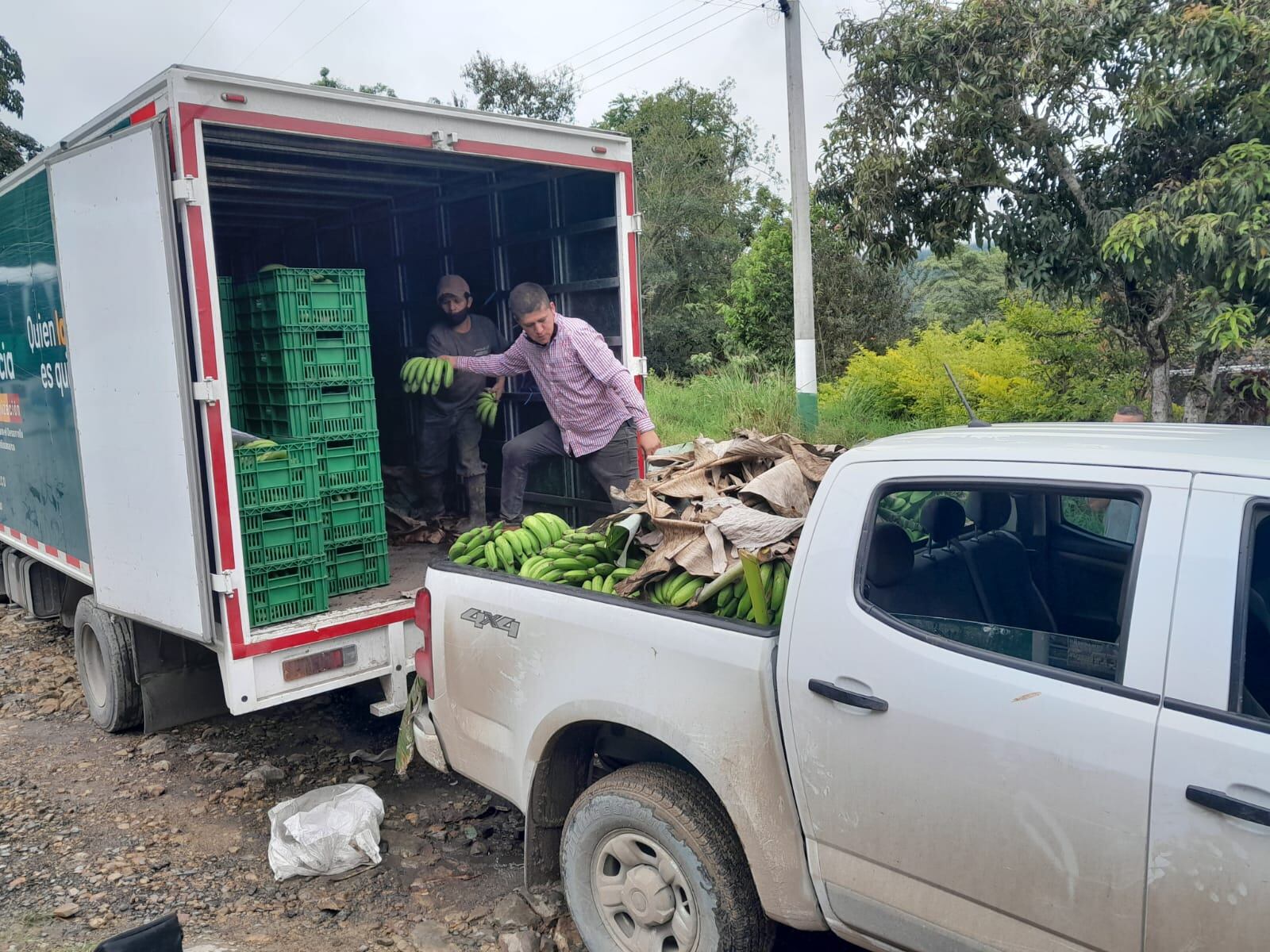 La Gobernación de Cundinamarca lanzó “Misión Rescate”, una estrategia de la para comprar las cosechas a los agricultores afectados por la emergencia invernal