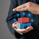 Insurance of transported cargo and goods. Trade turnover. Profit from trade and duties. Trade turnover, safeguarding investments, and minimizing financial risks in global commerce.