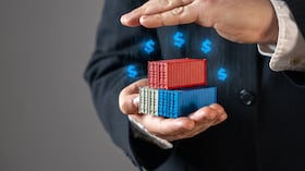 Insurance of transported cargo and goods. Trade turnover. Profit from trade and duties. Trade turnover, safeguarding investments, and minimizing financial risks in global commerce.