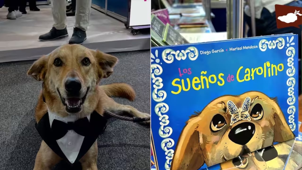 La historia del perro que transformó una comunidad universitaria