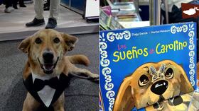 la historia del perro que transformó una comunidad universitaria