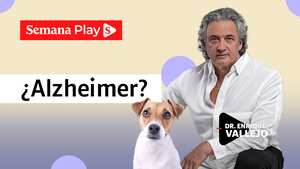 ¿Alzheimer? | Enrique Vallejo en Salud Animal