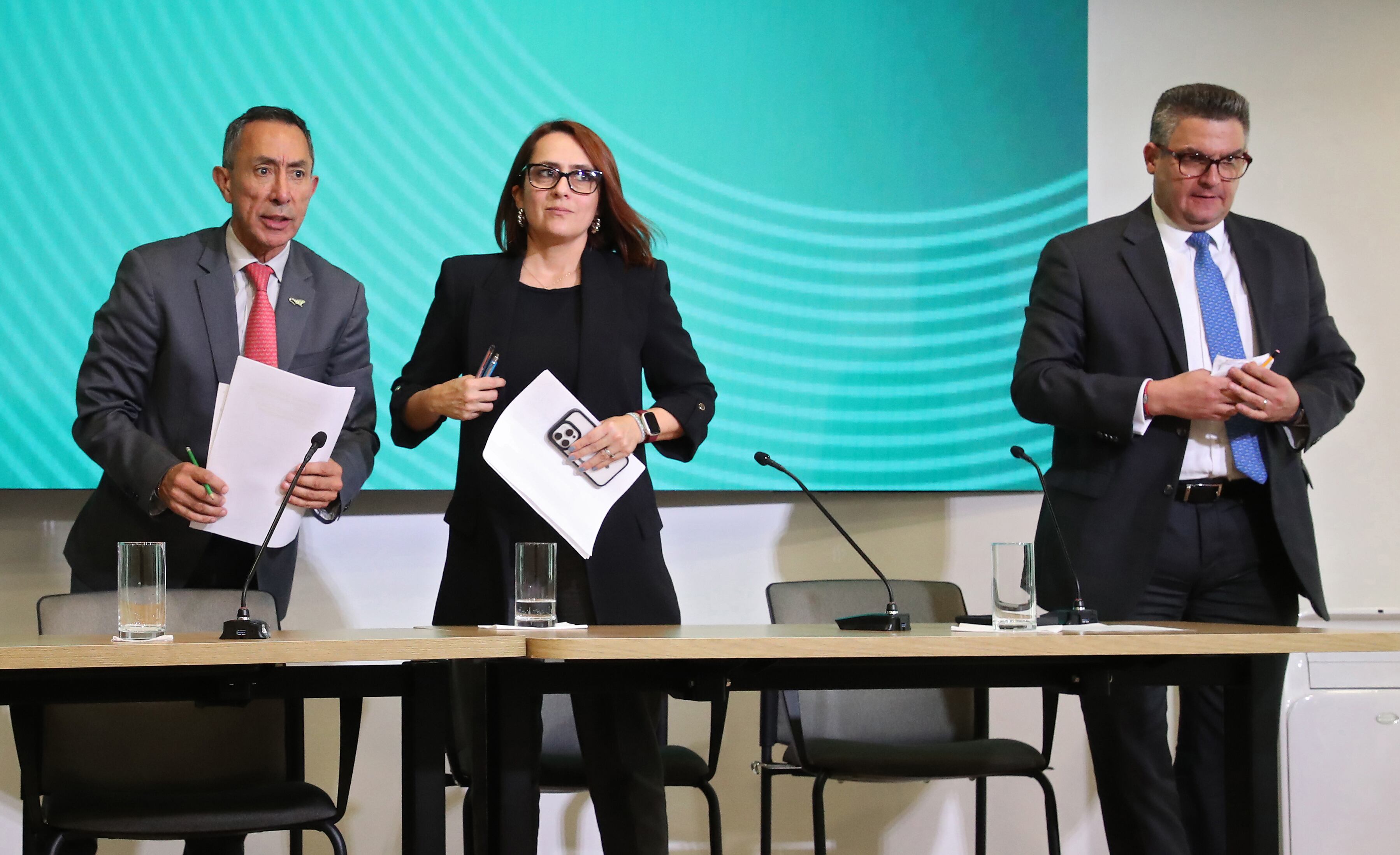 Resumen política 2024