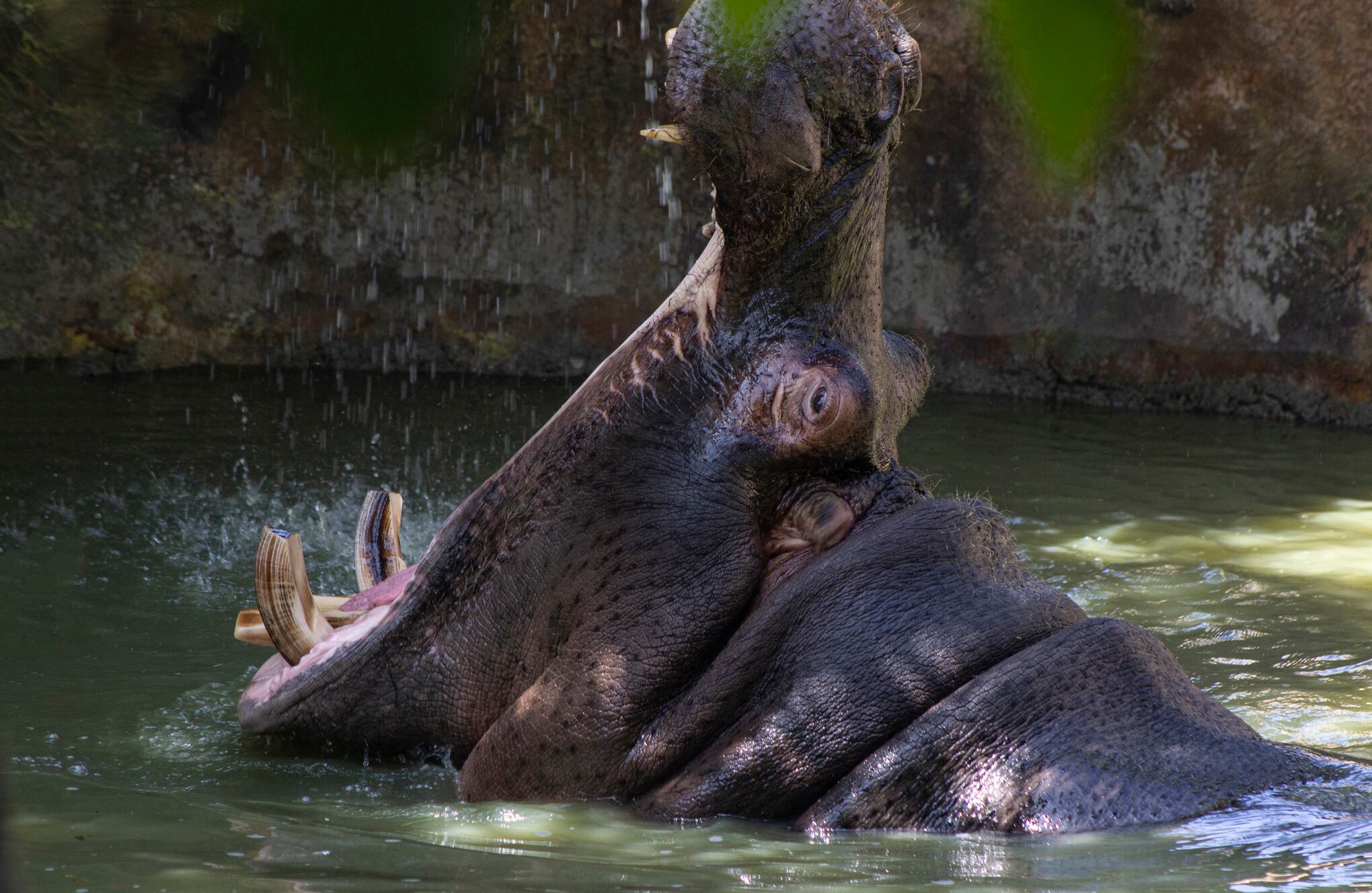 Bioparque Wakata / parque Jaime Duque