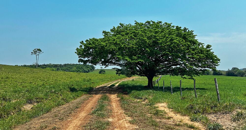 La excéntrica hacienda que dejó Piedad_6