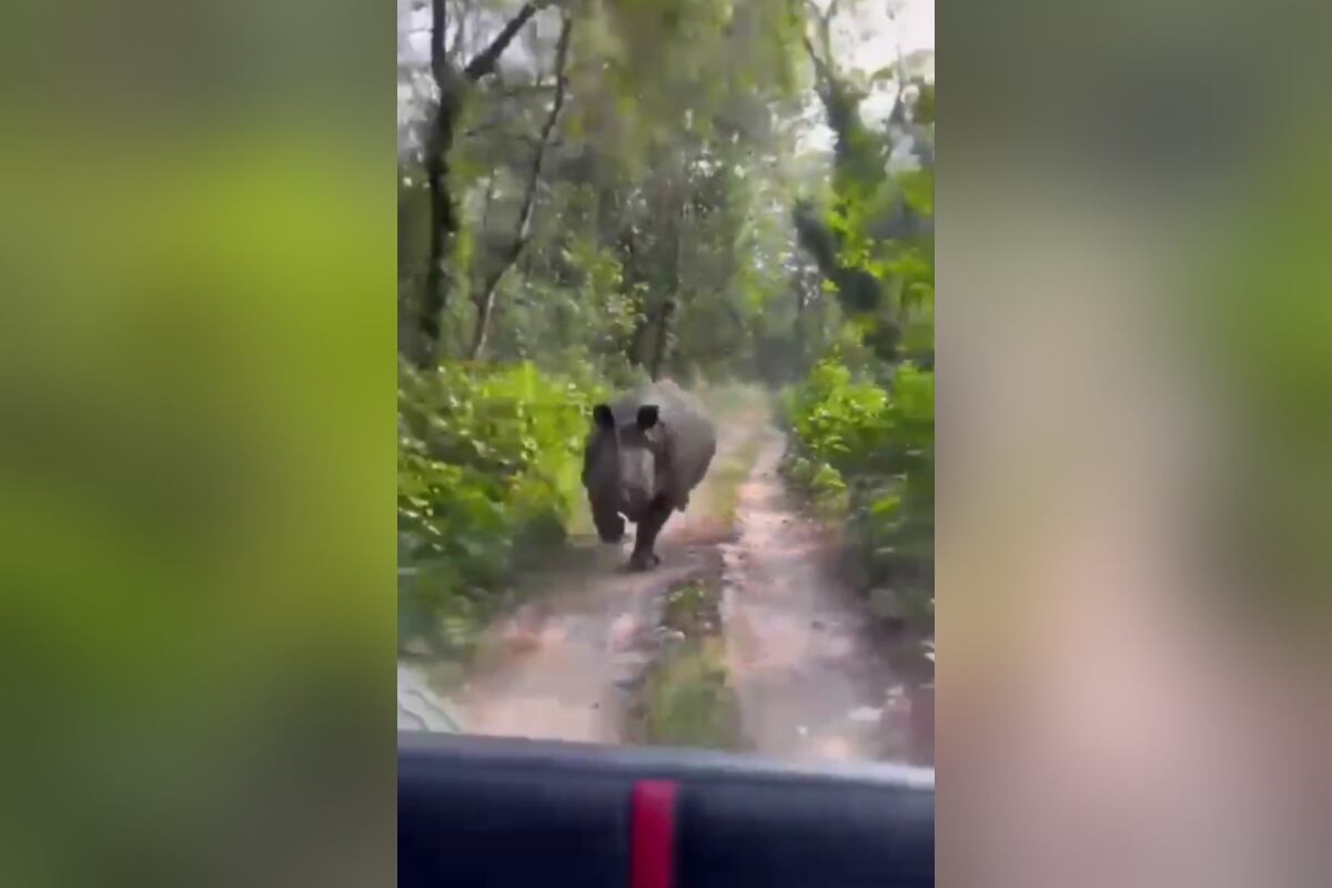 Twitter:@Arv_Ind_Chauhan