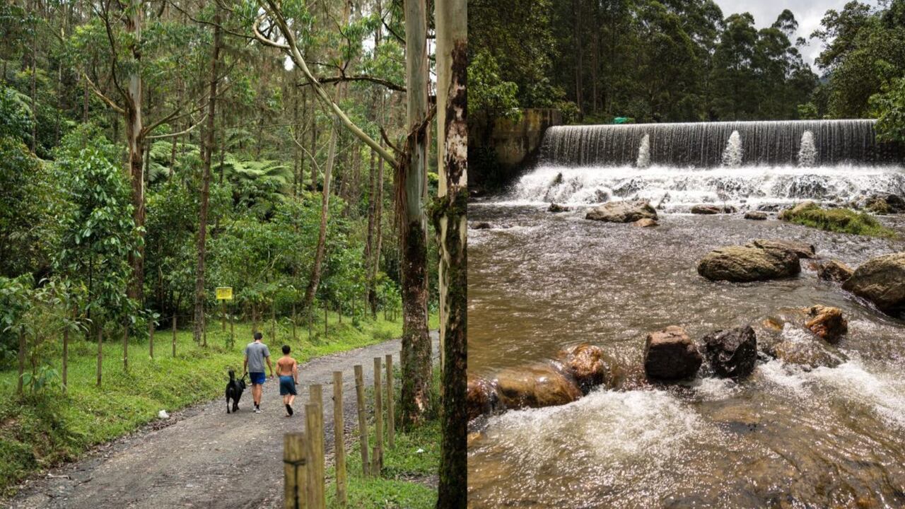 Joyas naturales dignas de admirar muy cerca a Medellín.