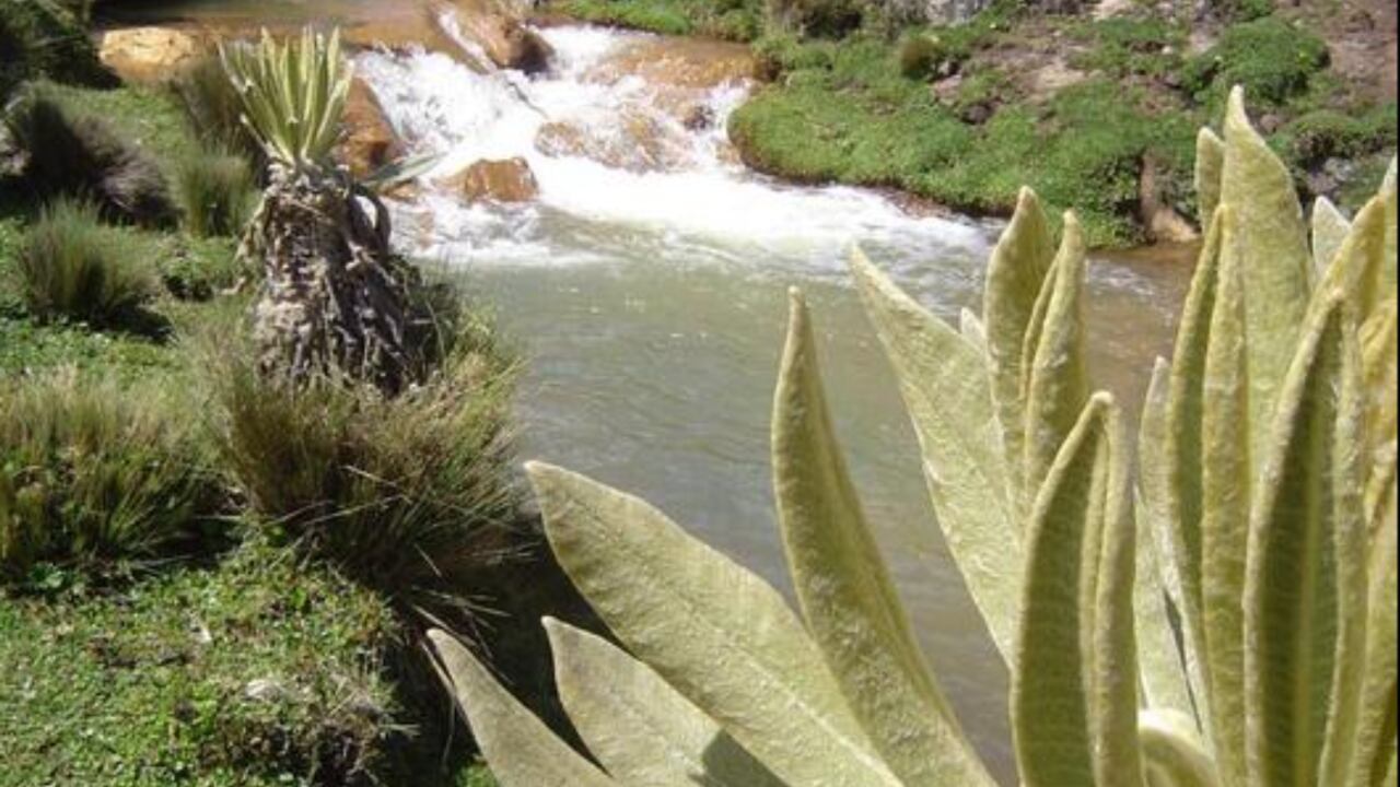 Este municipio tolimense ofrece una gran biodiversidad.