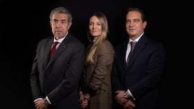 Juan David Riveros Barragán, Daniela Vergel y Álvaro Josué Yáñez.
