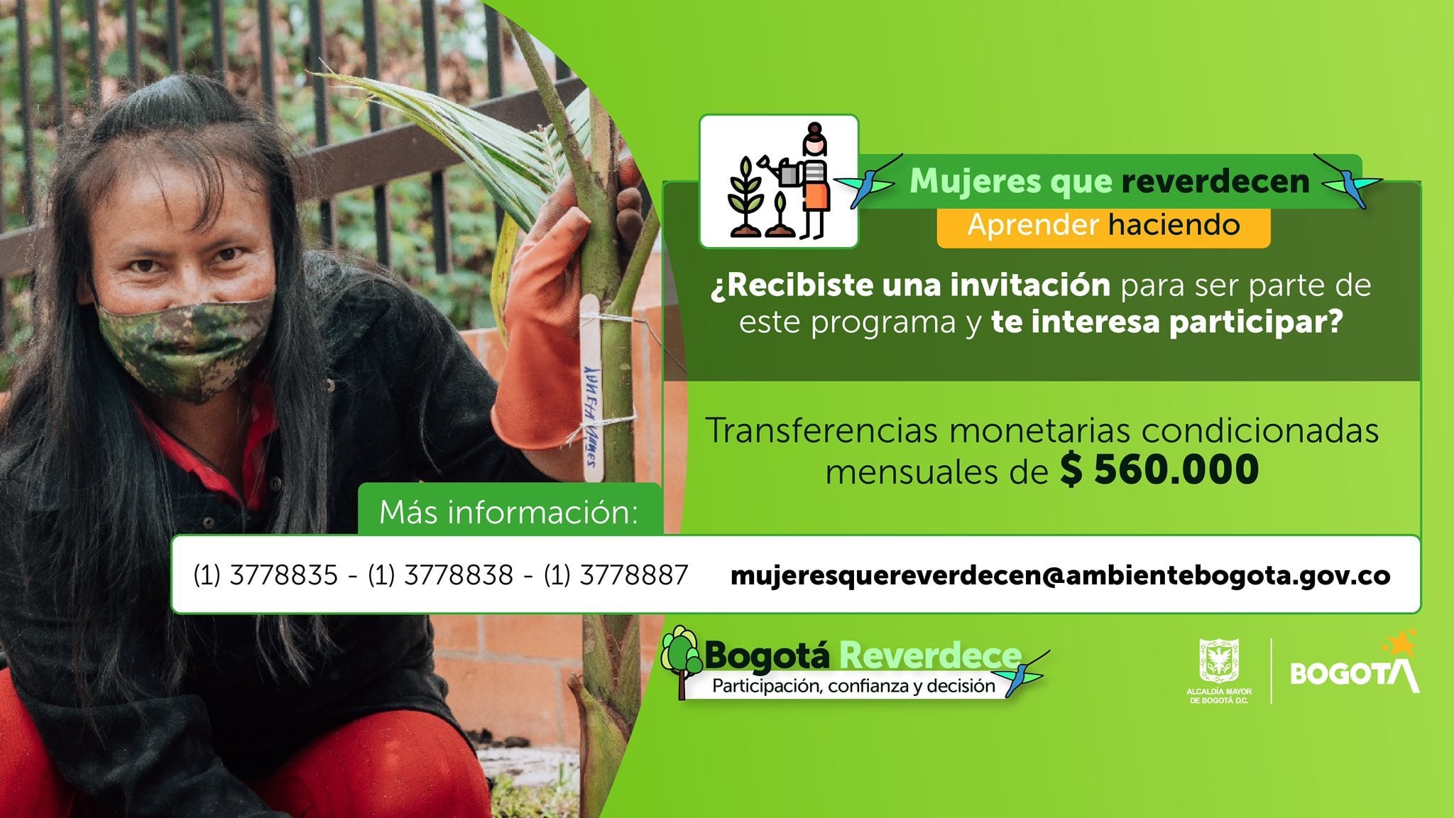 Las participantes aprenderán, durante seis meses, actividades como jardinería, mantenimiento de espacios verdes, agricultura urbana y siembra.