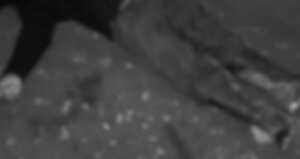 El hombre fue asesinado a las afueras de su casa.