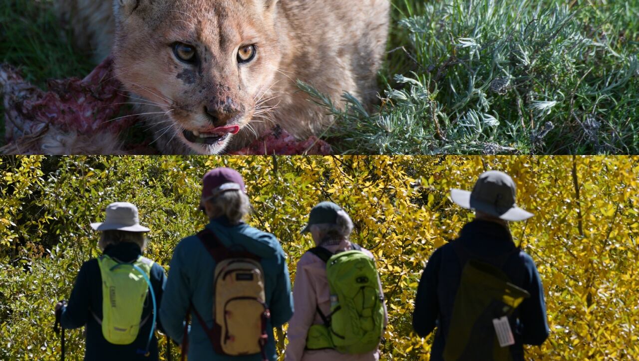 Colorado + Senderismo