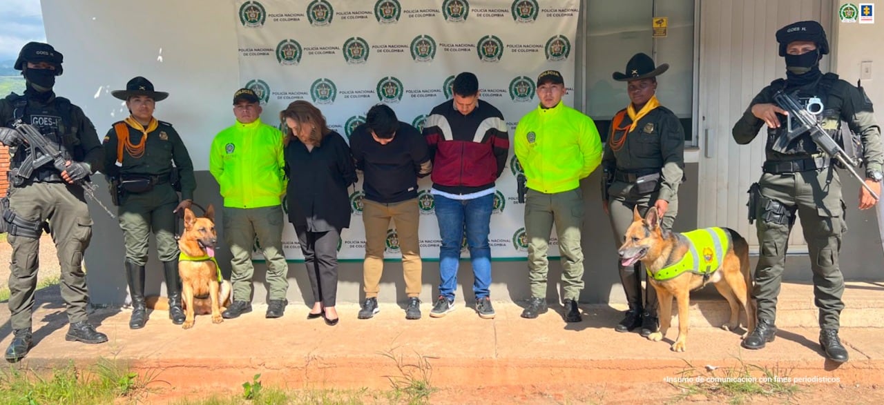 Este es el primer procedimiento que se realiza en Latinoamérica contra esta actividad 
ilícita.