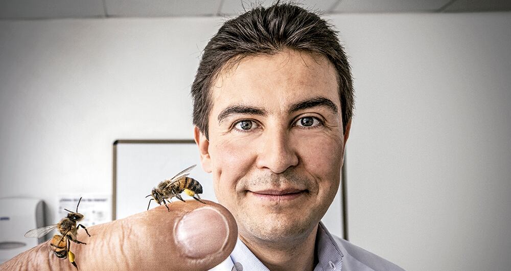 Protector de las Reinas. _1