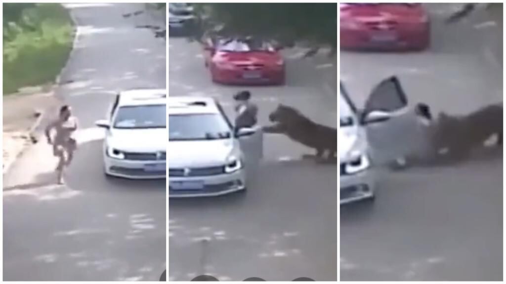 El video se viralizó en redes sociales.