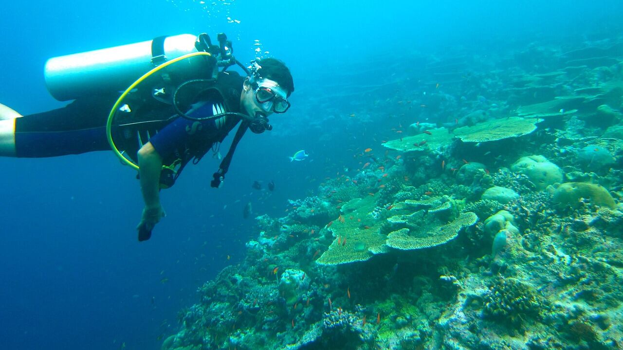 ¿En qué lugares se puede hacer buceo y snorkel en Cartagena?
