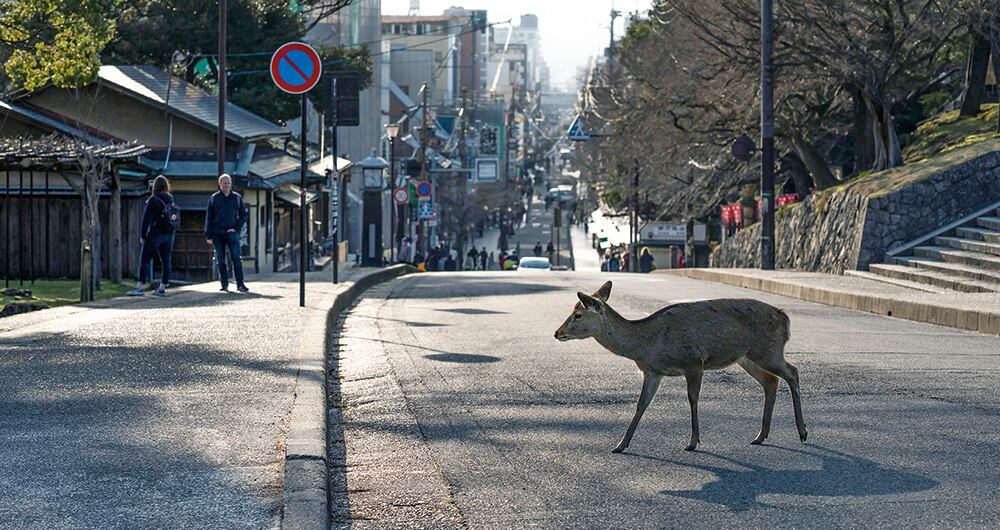 Cuando el mundo respiró_11