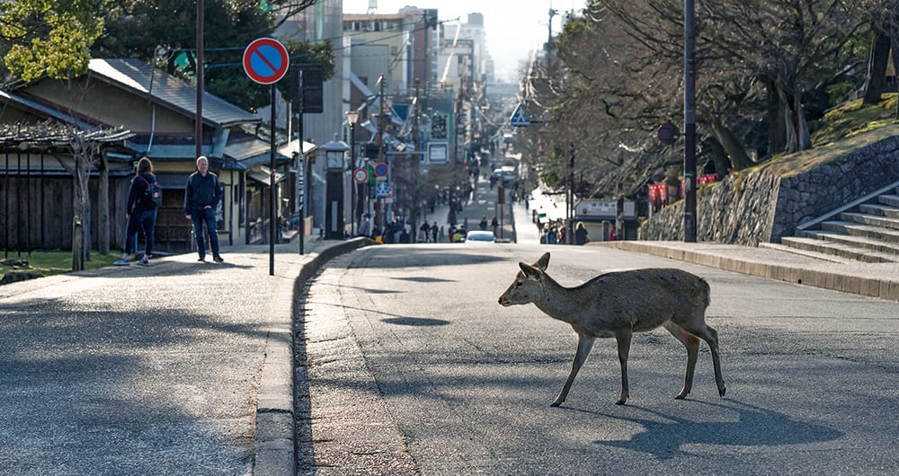 Cuando el mundo respiró_11