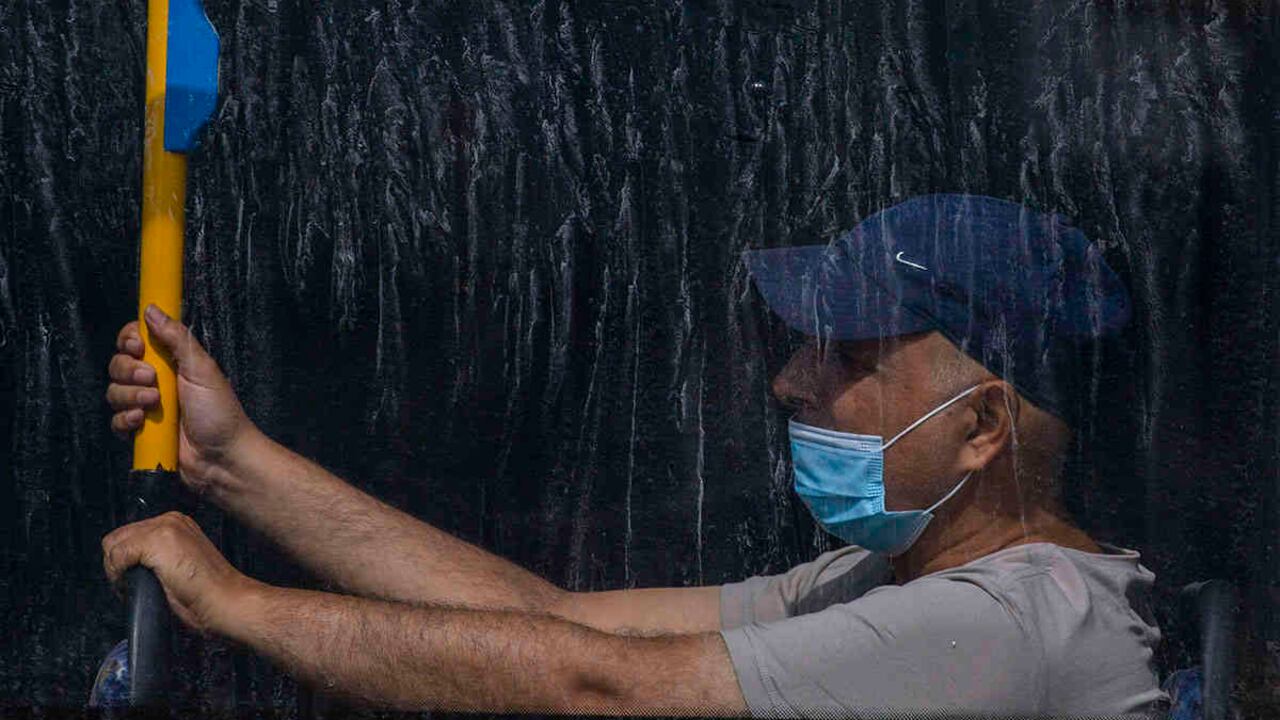 Ivermectina: conozca otros usos antes de emplearse para covid-19 | noticias hoy