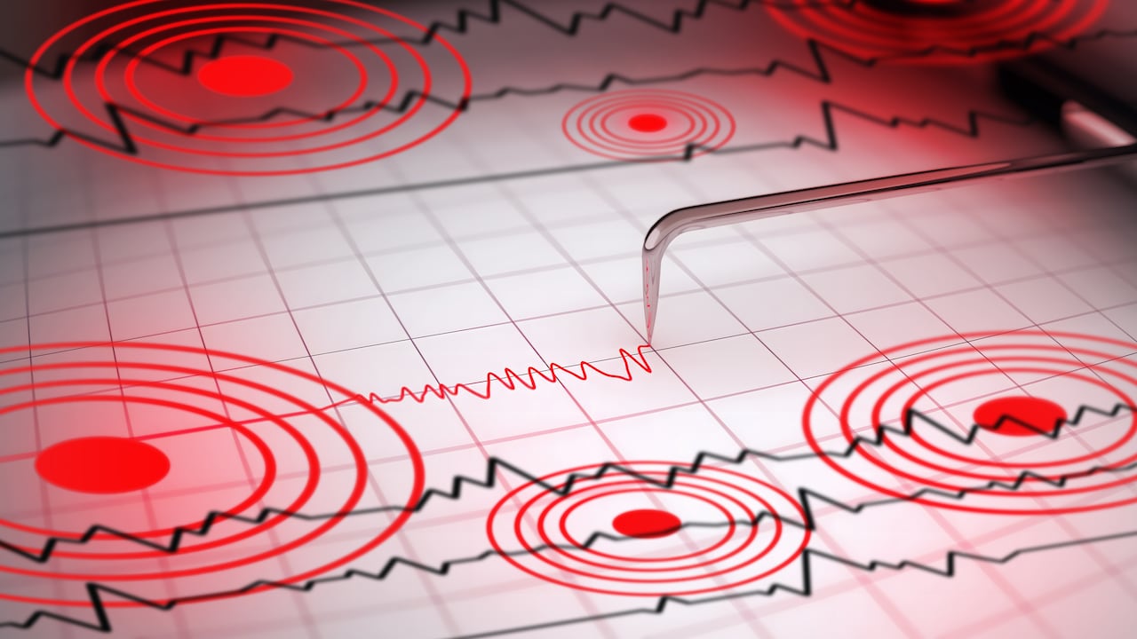 Imagen de referencia.