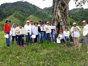 Las mujeres que viven en las zonas rurales cultivan y cosechan las plantas, mientras que las que se encuentran en los cascos urbanos se encargan de la transformación y comercialización de los productos.