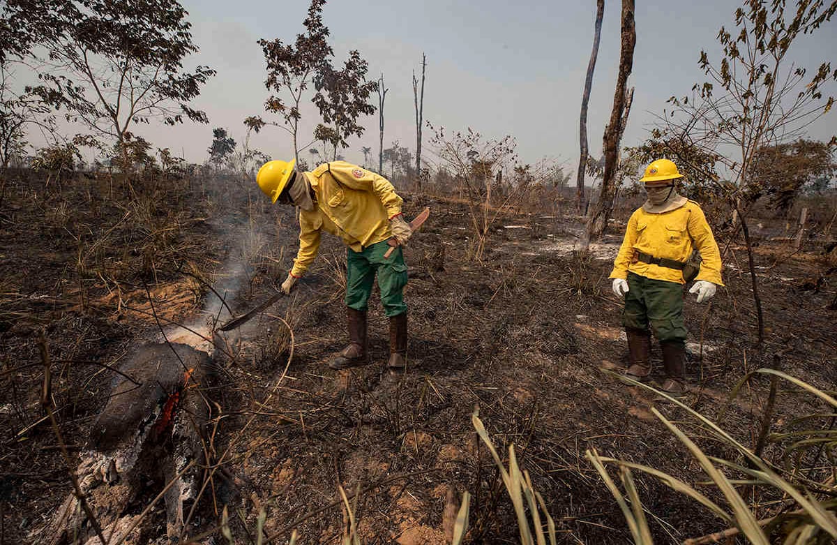 Trabajadores de la agencia estatal de medio ambiente de Brasil, IBAMA, revisan un área consumida por el fuego cerca de Novo Progresso, estado de Pará, Brasil, el martes 18 de agosto de 2020. Los expertos dicen que los incendios están empujando la selva tropical más grande del mundo hacia un punto de inflexión, después del cual dejará de generar suficiente lluvia para sostenerse. Foto: Andre Penner / AP 