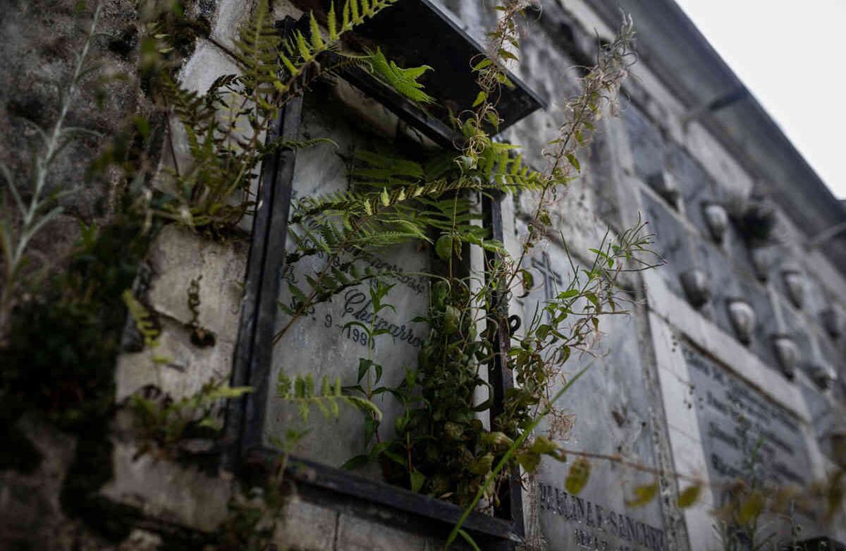 En el Cementerio del Norte fue instalado el primero de los tres contenedores refrigerados con los que la Uaesp hace frente a la emergencia por covid-19 en Bogotá. Foto: Esteban Vega/SEMANA
