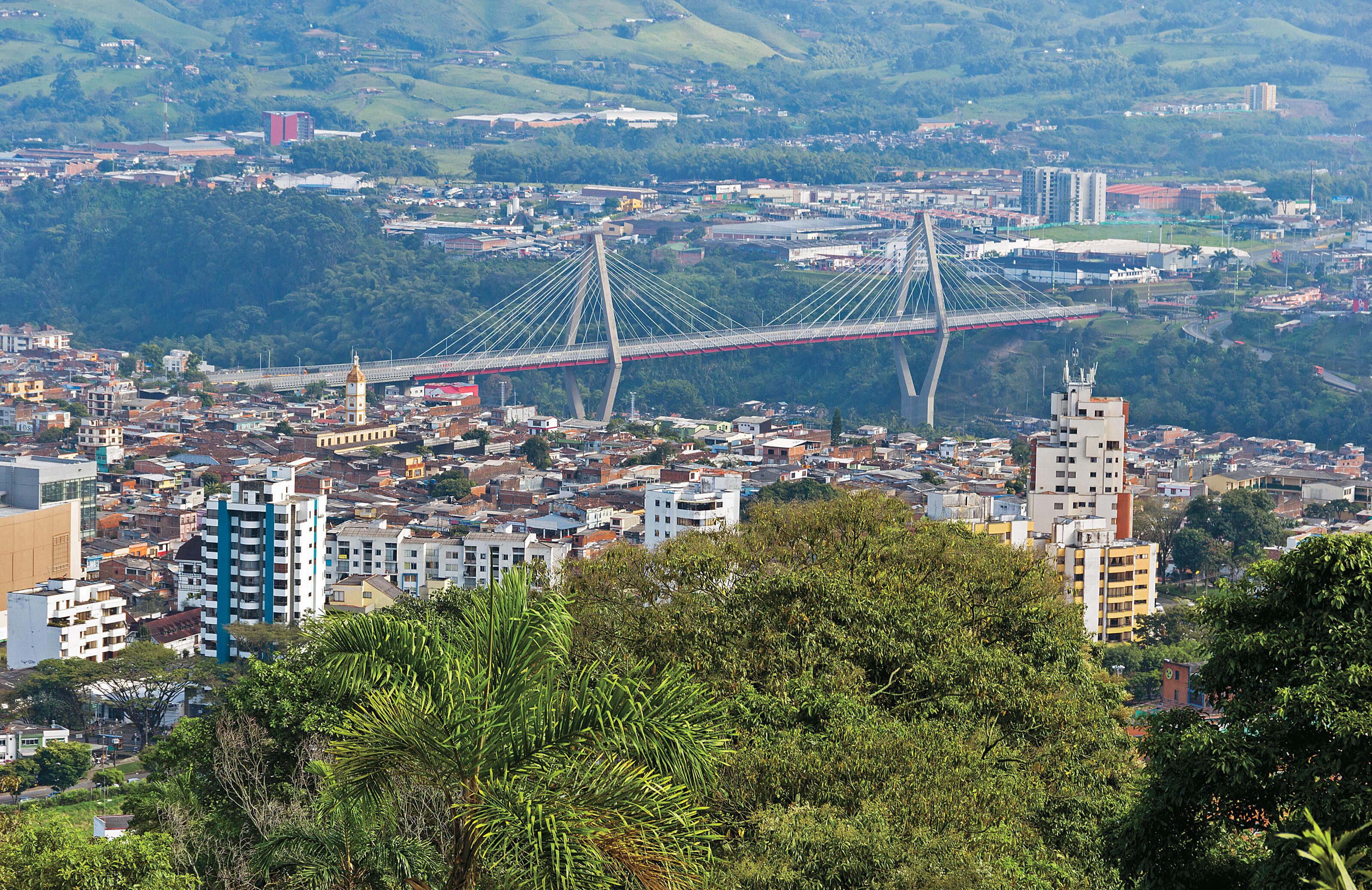 Pereira