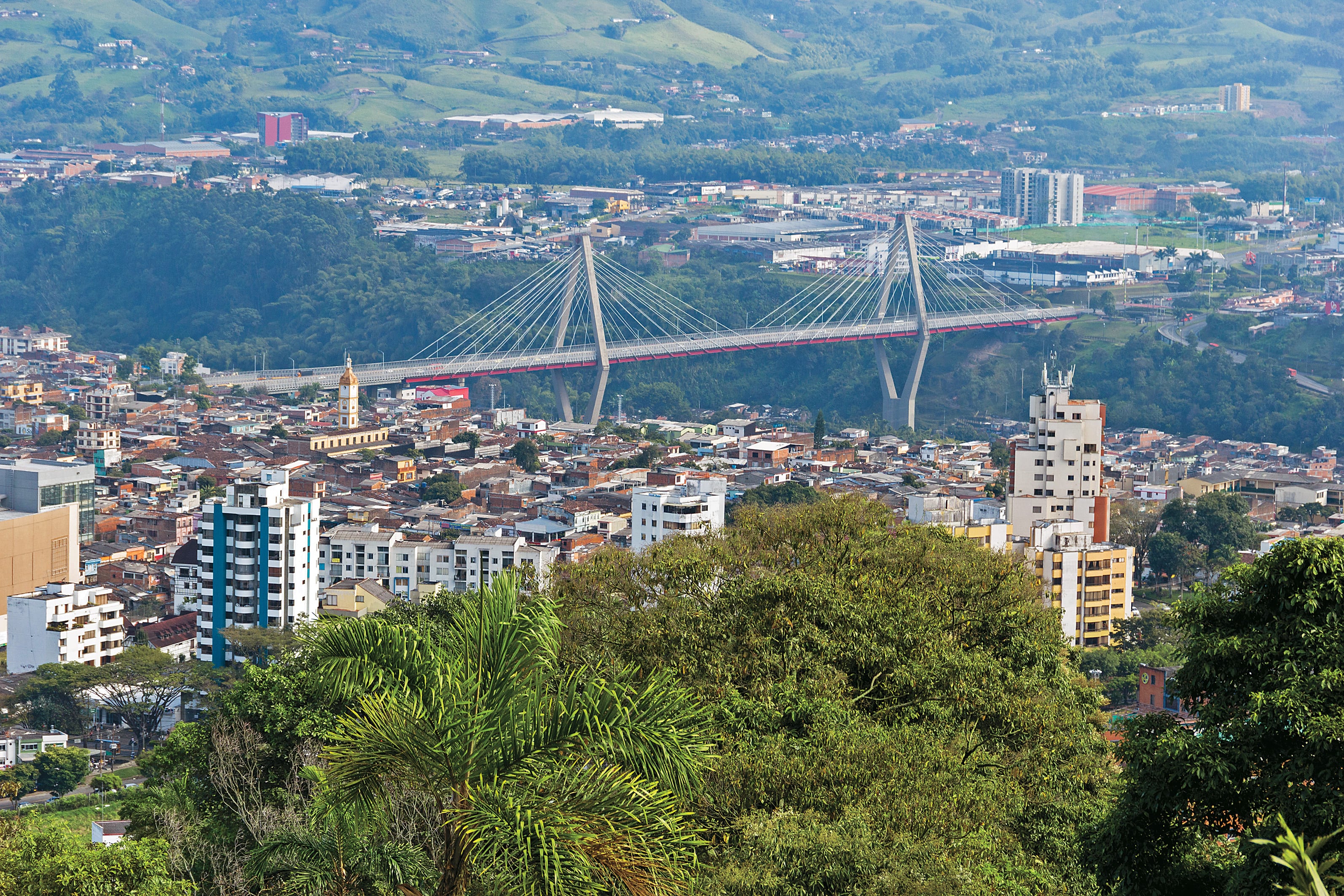 Pereira