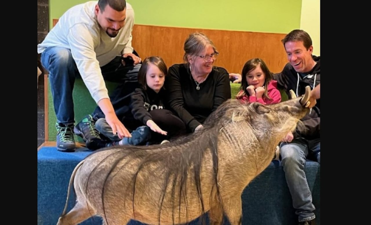 10 lugares para conocer por primera vez Nueva York, empiece por el Bronx Zoo