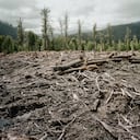 El 92% de los 165 países encuestados experimentará uno de cada dos años extremadamente cálido.