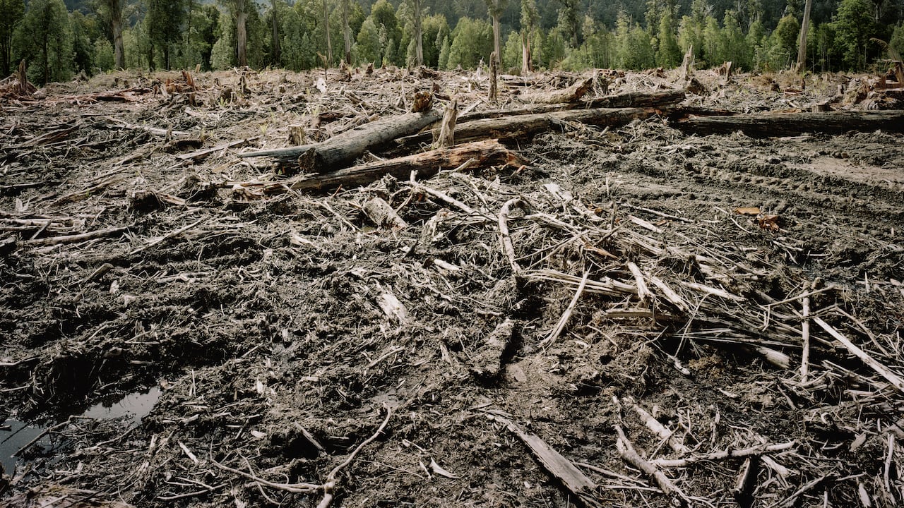 El 92% de los 165 países encuestados experimentará uno de cada dos años extremadamente cálido.